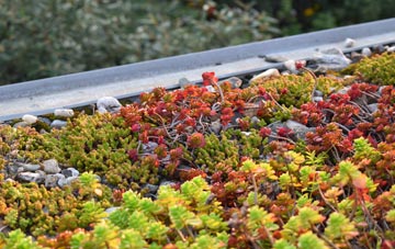 the cost of Thornton Curtis green roof installation
