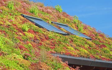 Thornton Curtis living roof systems