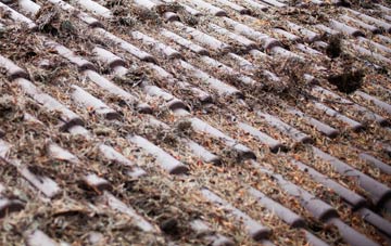 Thornton Curtis roof cleaning companies