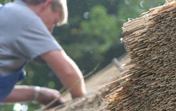 professional Thornton Curtis thatchers