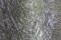 Thornton Curtis fibreglass roof work